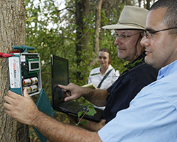 Dr. Bryan Pijanowski and student placing song meter on tree, Human-Environment Modeling and Analysis Lab (HEMA).
