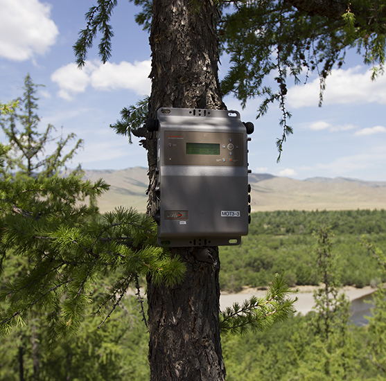 Soundscape research equipment on tree collecting sounds in Mongolia.